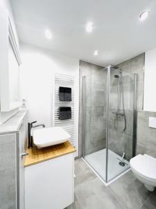 a bathroom with a shower and a toilet and a sink at NEU! ERSTBEZUG! Vollsanierte Fewo mit Blick auf die Flensburger Förde in Harrislee
