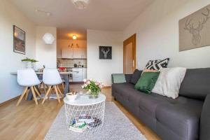 ein Wohnzimmer mit einem grauen Sofa und einer Küche in der Unterkunft Panorama-Apartment 1 I Balkon I WLAN I Stellplatz in Schwarzenberg