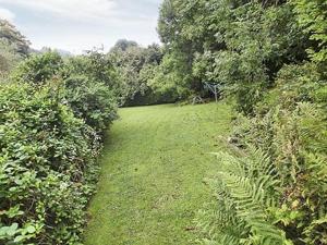 ein Grasfeld mit Bäumen und Sträuchern in der Unterkunft Tacker Street Cottage in Withycombe