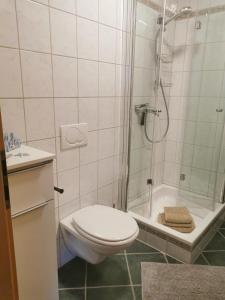 a bathroom with a toilet and a shower at Haus Knoll in Imsterberg +43 photos