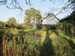 a house in the middle of a field with a pond at Crook Farm in Torver