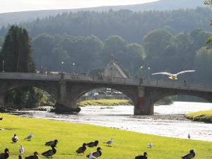 un pont sur une rivière avec des oiseaux sur l'herbe dans l'établissement Ewes Schoolhouse, à Bentpath