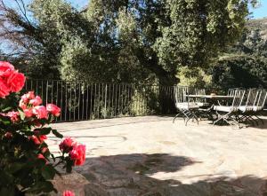 Fotografia z galérie ubytovania Le presbytère du Nebbiu piscine et jacuzzi v destinácii Santo-Pietro-di-Tenda