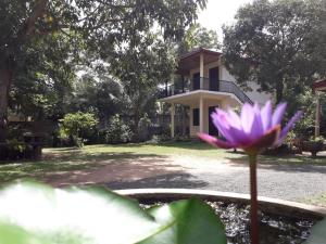 Giardino di Blue Point Rest