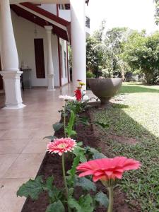 Giardino di Blue Point Rest