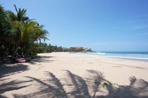 uma praia arenosa com palmeiras e o oceano em Esprit Bentota em Bentota