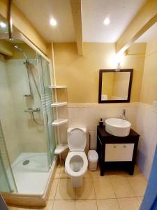 La salle de bains est pourvue de toilettes, d'une douche et d'un lavabo. dans l'établissement Maison de ville au cœur du quartier historique, à Oloron-Sainte-Marie
