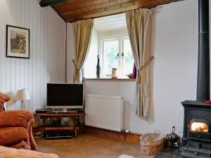 a living room with a television and a fireplace at Tremafon in Barmouth