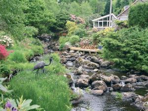 a bird standing in a stream in a garden at Tremafon in Barmouth