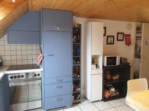 Kuchyň nebo kuchyňský kout v ubytování Apartment Dorfstrasse 16