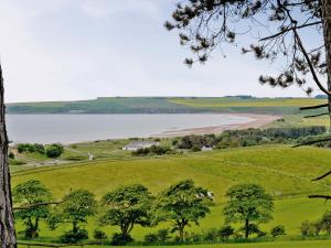 a view of the beach from the top of a hill at The Water Tower in Auchmithie