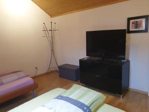 ein Wohnzimmer mit einem Flachbild-TV auf einem Stand in der Unterkunft Apartment Dorfstrasse 16 in Leuzigen