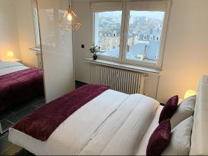 um quarto com uma cama e uma janela em Esch/Alzette city apartment em Esch-sur-Alzette