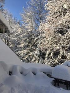 un patio cubierto de nieve con una mesa y árboles en UROCZYSKO, en Wisła