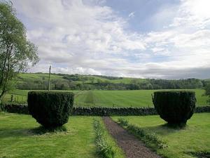 two bushes in the middle of a green field at Kilpatrick Farm House in Pinmore