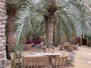 een patio met 2 palmbomen en tafels en stoelen bij Nour El Waha Hotel in Siwa