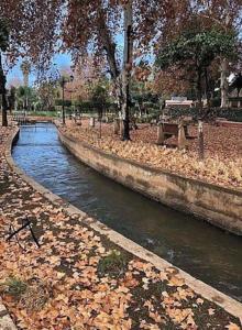 Un río en un parque con hojas en el suelo en cosy appartement au Centre de la ville avec WIFI, en Beni Mellal