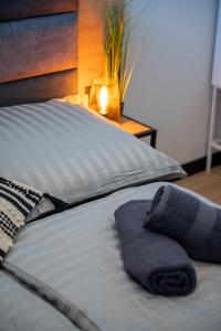 Postel nebo postele na pokoji v ubytování Domki i apartamenty Skandynawia z basenem