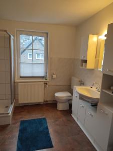 La salle de bains est pourvue de toilettes, d'un lavabo et d'une fenêtre. dans l'établissement Ferienwohnung Finkeldei, à Winterberg