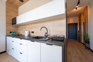 Kuchyň nebo kuchyňský kout v ubytování Domki i apartamenty Skandynawia z basenem
