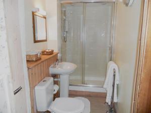 a bathroom with a shower and a toilet and a sink at Fairmaiden in Polruan