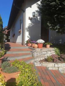 a group of potted plants sitting outside of a house at FeWo oben in Kalletal