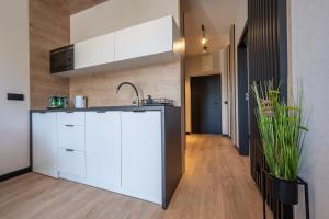 Kuchyň nebo kuchyňský kout v ubytování Domki i apartamenty Skandynawia z basenem