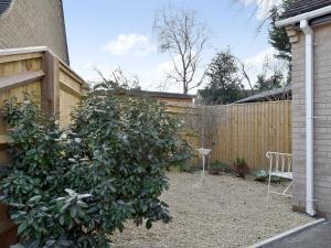 a bush in a yard next to a fence at Camelia Cottage in Witney