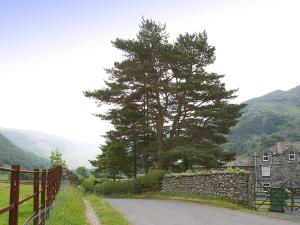 a road next to a stone wall and a tree at Chapelfield Cottage in Rosthwaite