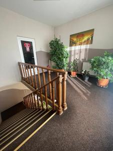 eine Treppe mit Topfpflanzen in einem Zimmer in der Unterkunft Pension Regal in Satu Mare