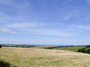 a field of grass with the sky in the background at Owls Park in Saint Endellion