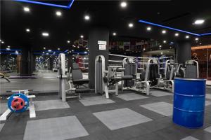 Fitness centrum a/nebo fitness zařízení v ubytování My Palace Rooms SAW