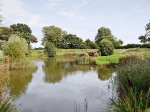 un étang dans un champ planté d'arbres et d'herbe dans l'établissement Rosemary - E4484a, à Ludham