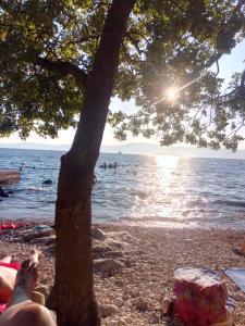 a person laying on the beach under a tree at Apartments in Kraljevica 33251 in Kraljevica