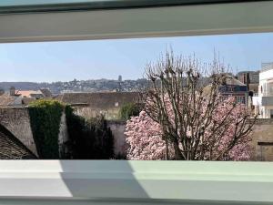 una finestra con vista su un albero con fiori rosa di Le Bel Vue a Sens