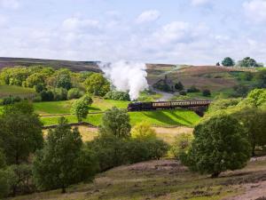 un tren de vapor viajando a través de un campo con árboles en The Carrs, en Pickering