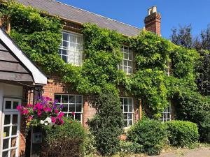 an ivy covered house with windows and flowers at Blue Charm in Damerham