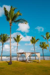 Jardim Atlântico Beach Resort في ايليوس: خيمة على الشاطئ مع أشجار النخيل والمحيط