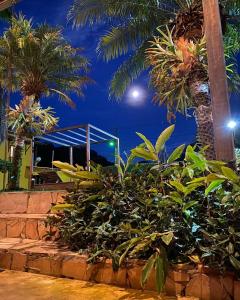 a group of plants in front of a building at night at Maria Barbosa Tiradentes Pousada e Spa in Tiradentes