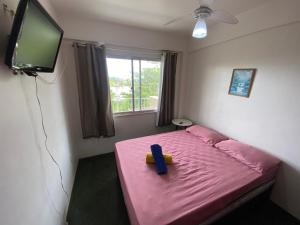 a small bedroom with a pink bed and a tv at Tranquilidade, lazer, sol e mar! in Saquarema