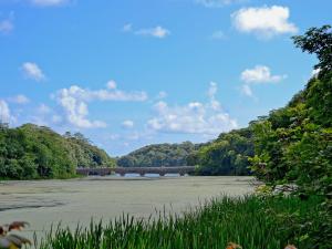 a view of a river with a bridge in the background at The Quay in Pembroke