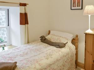wypchany pies leżący na łóżku w sypialni w obiekcie Meadow Cottage w mieście St Just