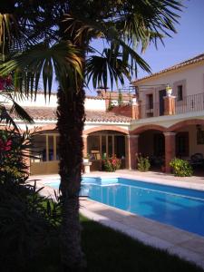 ein Haus mit einem Pool und einer Palme in der Unterkunft Palacio de Monfarracinos in Monfarracinos