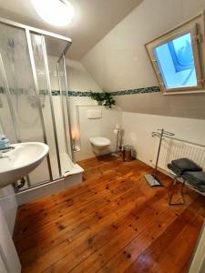 a bathroom with a sink and a toilet at Alexandrowka Wohnen im UNESCO Weltkulturerbe Haus in Potsdam