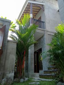 a house with a palm tree in front of it at Araya villa saba in Saba