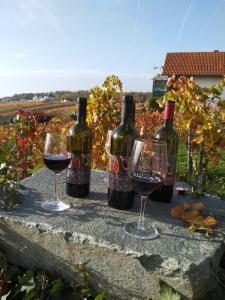 three bottles and two glasses of wine on a stone wall at Ferienhaus Szapary I in Eisenberg an der Pinka