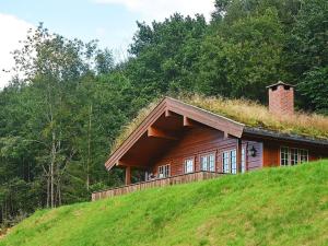 a house with a grass roof on top of a hill at Holiday home olden X in Olden