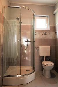 uma casa de banho com um chuveiro e um WC. em Apartmani Andrija em Jezera