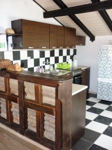 uma cozinha com bancada num quarto em Apartmani Andrija em Jezera