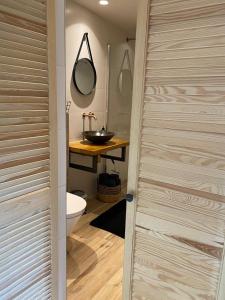 Venhuizen的住宿－La Fattoria Bed&breakfast，一间带水槽、卫生间和镜子的浴室